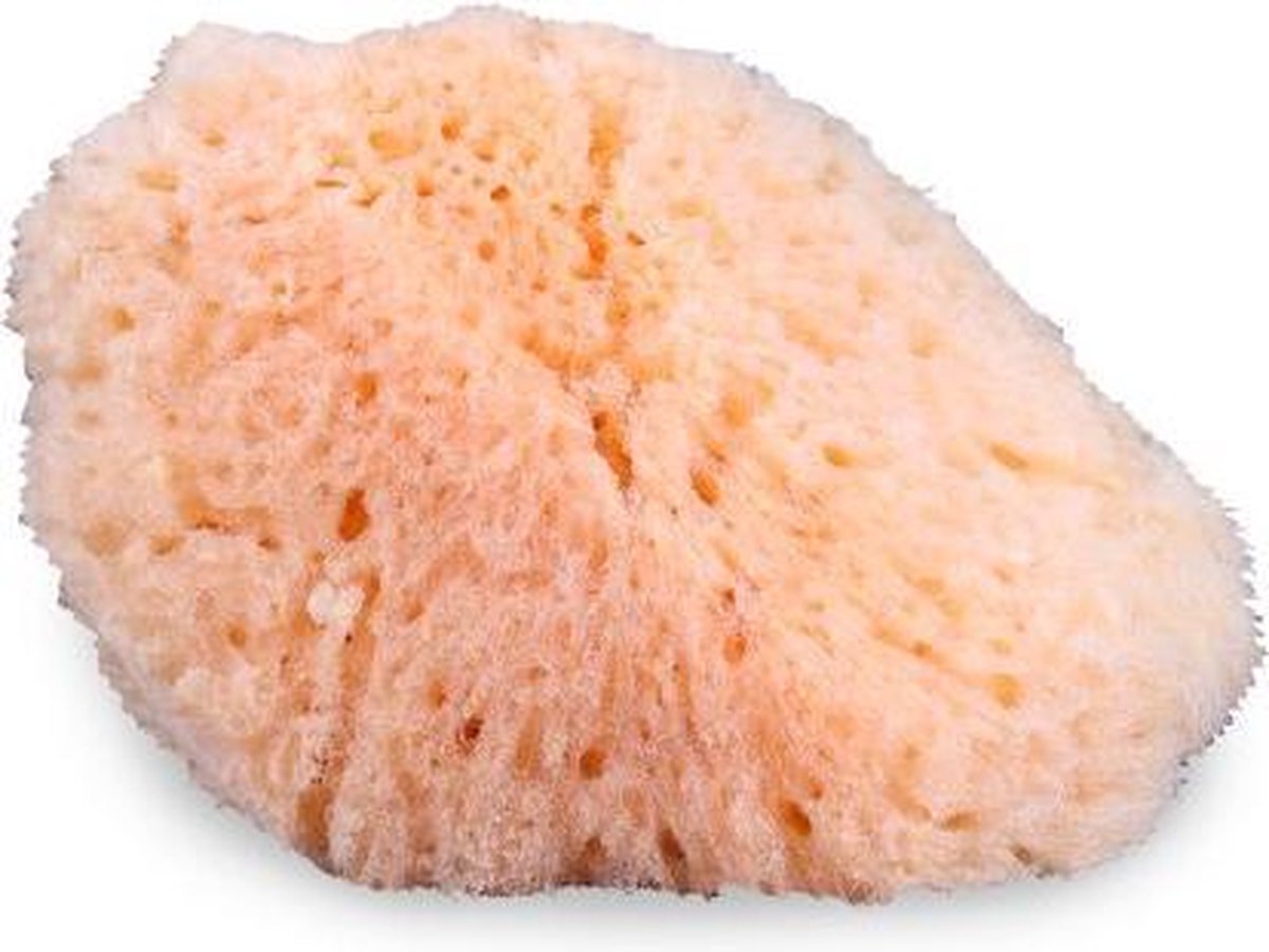     | Natural Sea Sponge